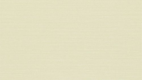 Tussah Silk ZPAW07004